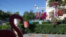 Flamingo Apartments