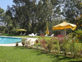 Tellis Pension