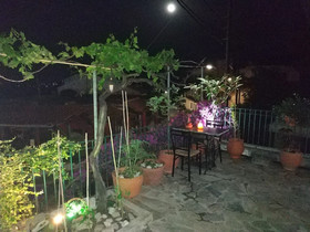 Corfu Pelekas Apartments