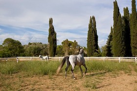 Pelecas Country Club