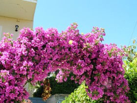 Apostolos & Eleni Family Apartments
