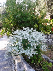 Apostolos & Eleni Family Apartments