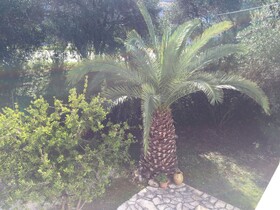 Alexander Apartments