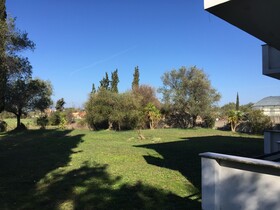 Alexander Apartments