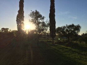 Alexander Apartments