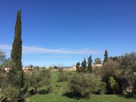 Alexander Apartments