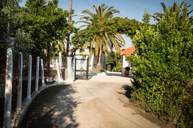 Paradise Village