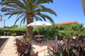 Kostas' Garden