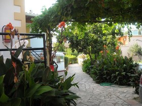 Kostas' Garden