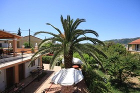 Kostas' Garden