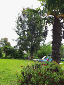 Antzela Apartments