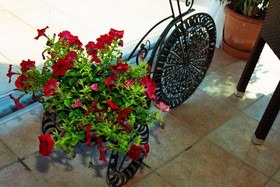 Olive Grove Hotel