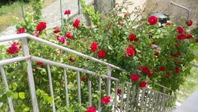 Corfu Villa Rainbow
