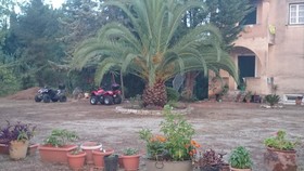 Corfu 9 Musses
