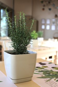 Mourtzanakis Residence