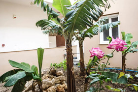 Dioni Hotel
