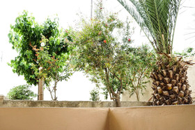 Dioni Hotel