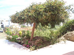 Kalimera Hotel