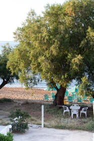 Papidakis Studios