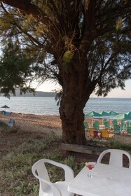 Papidakis Studios