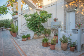 Stefanie Studios