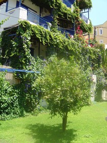Amazona Apartments