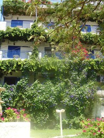 Amazona Apartments