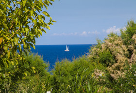 Peninsula Resort & Spa
