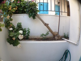 Renia Hotel