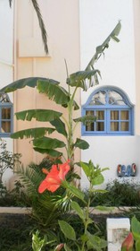 Sirena Apartments