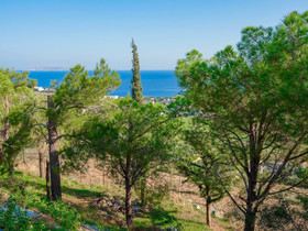 Villa Aura Pine
