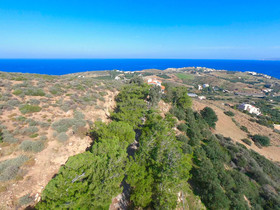 Villa Aura Pine