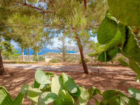 Villa Aura Pine