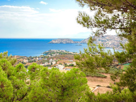 Villa Aura Pine