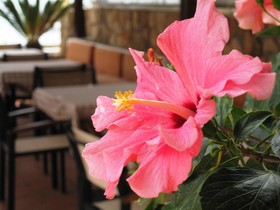 Faedra Beach Resort