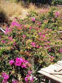 Kassandra Garden Residence