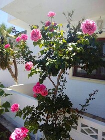 Kassandra Garden Residence