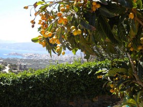 Villa Phoebus