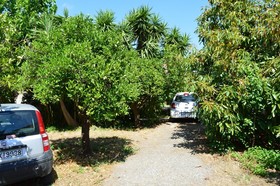 Villa Flora
