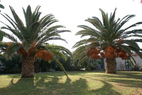 Gorgona Hotel