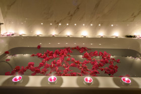 Elysian Suites