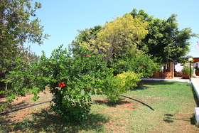 Hotel Galini