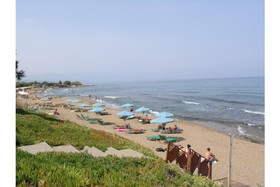 Oasis Beach Hotel