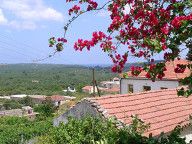 Fenareti's Houses