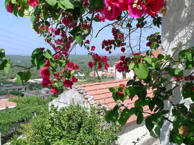 Fenareti's Houses