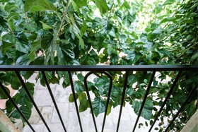 Lemon Tree Eco Retreat