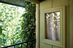 Lemon Tree Eco Retreat
