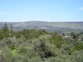 Villa Aloni