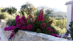 Villa Kastania
