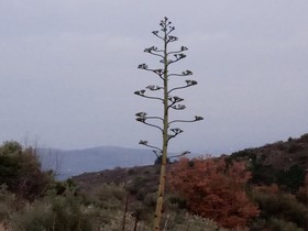 Villa Kastania